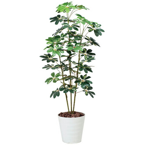パンヤ 斑入 観葉草木 造花 鉢植え 工業プラント 人工草木 花 鉢付き添い人 消臭 抗菌 防汚 形成美 今めかしい 室内装飾 執務室 円卓会議室 部屋の入り口 庭 苑地 3A4008-240
