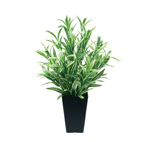 【P5倍4/10 13-15時&最大1万円ｸｰﾎﾟﾝ4/10】 ツートンスパイダー 高さ50cm 光触媒 抗菌 防汚 消臭 シックハウス 対策 造花 人工観葉植物 鉢付き テーブルタイプ 人工樹木 オフィス インテリア 519A84-37
