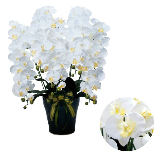 人気が高い ロイヤル胡蝶蘭 5本立w 76cm 人工 観葉植物 人工観葉植物 造花 光触媒 インテリア ギフト プレゼント 消臭 抗菌 花粉 環境 快適 送料無料 532a360 56 代引不可 Www Entraide Ma