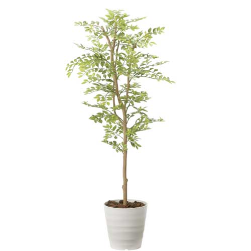 【P5倍7/20 13-15時&最大1万円クーポン7/19-25】 ゴールデンリーフ 観葉植物 造花 鉢植え プラント 人工植物 植木 鉢付き 消臭 抗菌 防汚 おしゃれ インテリア オフィス 会議室 ガーデン 施設 店舗 423A220-28|LOOKIT オフィス家具 インテリア