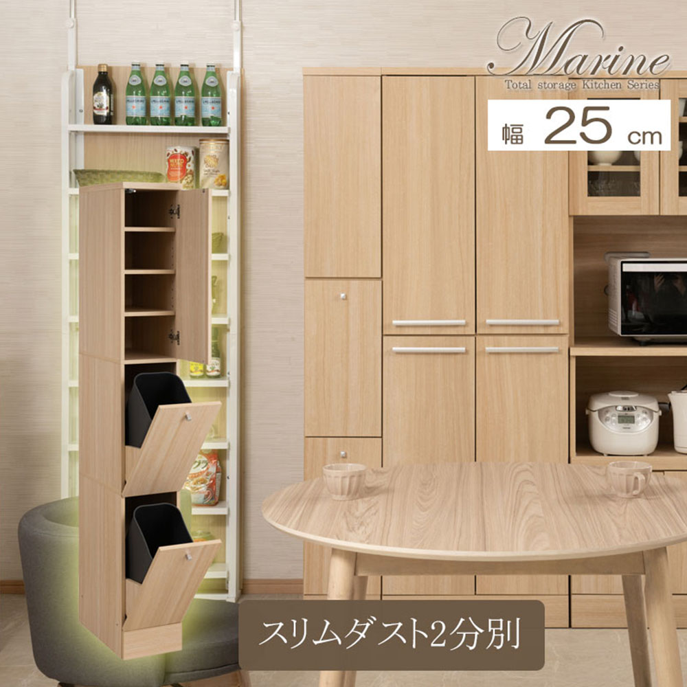 ダストボックス 最大1万円クーポン6 22 キッチンストッカー ダストボックス キッチン収納 Fy 0051インテリア 寝具 収納 キッチン隙間収納 ナチュラル キッチン隙間収納 時 6 26 幅25cm 収納付きダストボックス スリムタイプ スリム 2時 キッチンストッカー 分別型