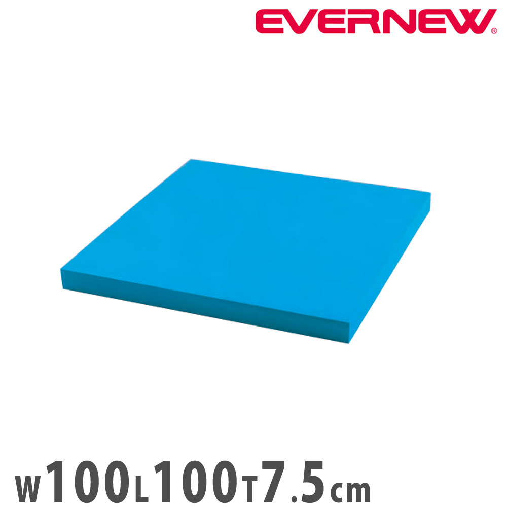 楽天市場】【EVERNEW・エバニュー】浮島200ST EHA182 角型浮島 大型