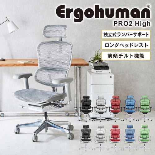 【楽天市場】エルゴヒューマンプロ2 Ergohuman Pro2 ロータイプ