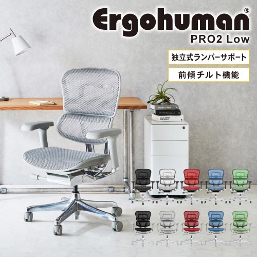 楽天市場】エルゴヒューマンプロ2 Ergohuman Pro2 ロータイプ オフィス