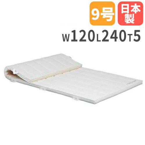 【P5倍4/20 13-15時&最大1万円ｸｰﾎﾟﾝ4/17-23】 【法人限定】体操マット 5cm厚 9号帆布 120×240×5cm 合成スポンジマット 体育マット エバーマット トーエイライト クッション 学校 T2458 T-2458 23,400円