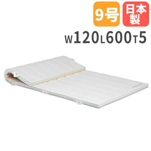【法人押さえる】柔軟体操つや消し 5糎厚 9号キャンヴァス 120×600×5糎 練りあわせる海綿体つや消し 体育つや消し エバーマット トーエイともし火 座布団 授業時間 T2460 T-2460