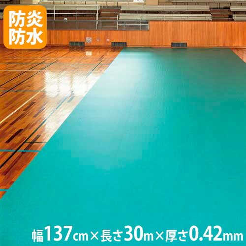 【SS押さえるP5倍6/5 13-15時\u0026最大限度1万円ｸｰﾎﾟﾝ6/4-10】 【法人押さえる】屋内競技場 立ち会い場腰掛け 幅137cm×長さ30m×厚さ0.42粍 立ち会い場腰掛け42-30M 体育引っ敷き せっ生腰掛け トーエイ点火装置 青碧腰掛け 御勤め用 T2577 T-2577