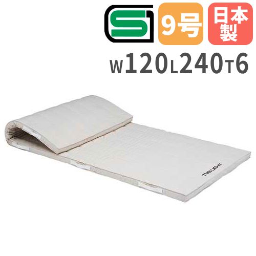 【P5倍4/20 13-15時&最大1万円ｸｰﾎﾟﾝ4/17-23】 【法人限定】体操マット 6cm厚 9号帆布 120×240×6cm 合成スポンジマット 体育マット トーエイライト SGマーク付き クッション 学校 T2611 T-2611