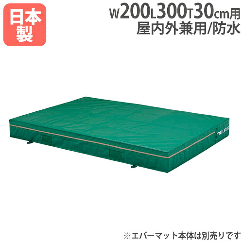 【法人押さえる】G1541用取り替えっこ取りまかなう 幅200×長さ300×厚さ30糎用 オプション 取り替えっこ袋用 取り替えっこ用取りまかなう 柔軟体操つや消し トーエイともし火 G1541A G-1541A