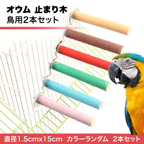 止まり木(大型オウム&インコ用) Amazon.co.jp: 鳥用止まり木爪とぎパーチ爪を磨自然木インコ