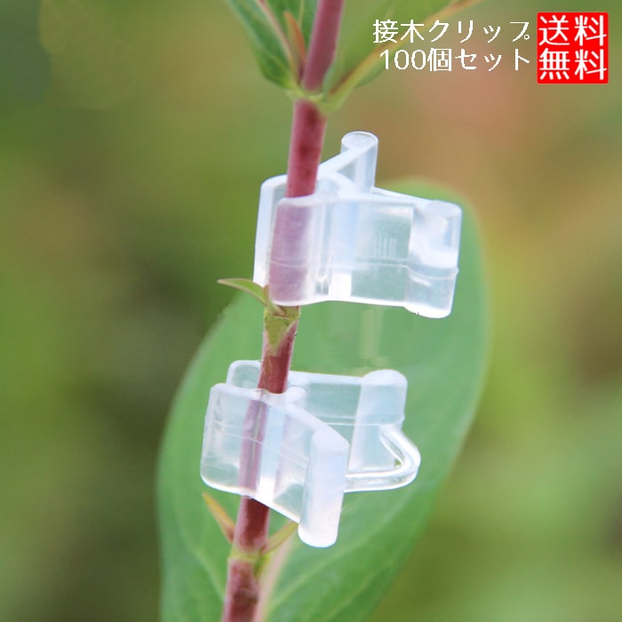 接木クリップ 接ぎ木 クリップ 100個セット 接木クリップ 接ぎ木