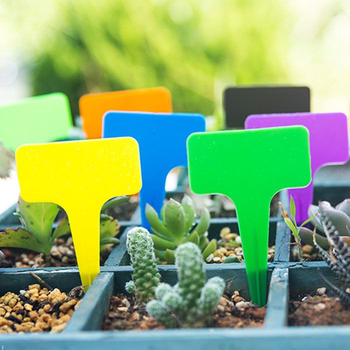 100枚セット 園芸ラベル ラベル 園芸 園芸花壇 ガーデニング 植物 プラスチック製 植物タグ 鉢植 名札