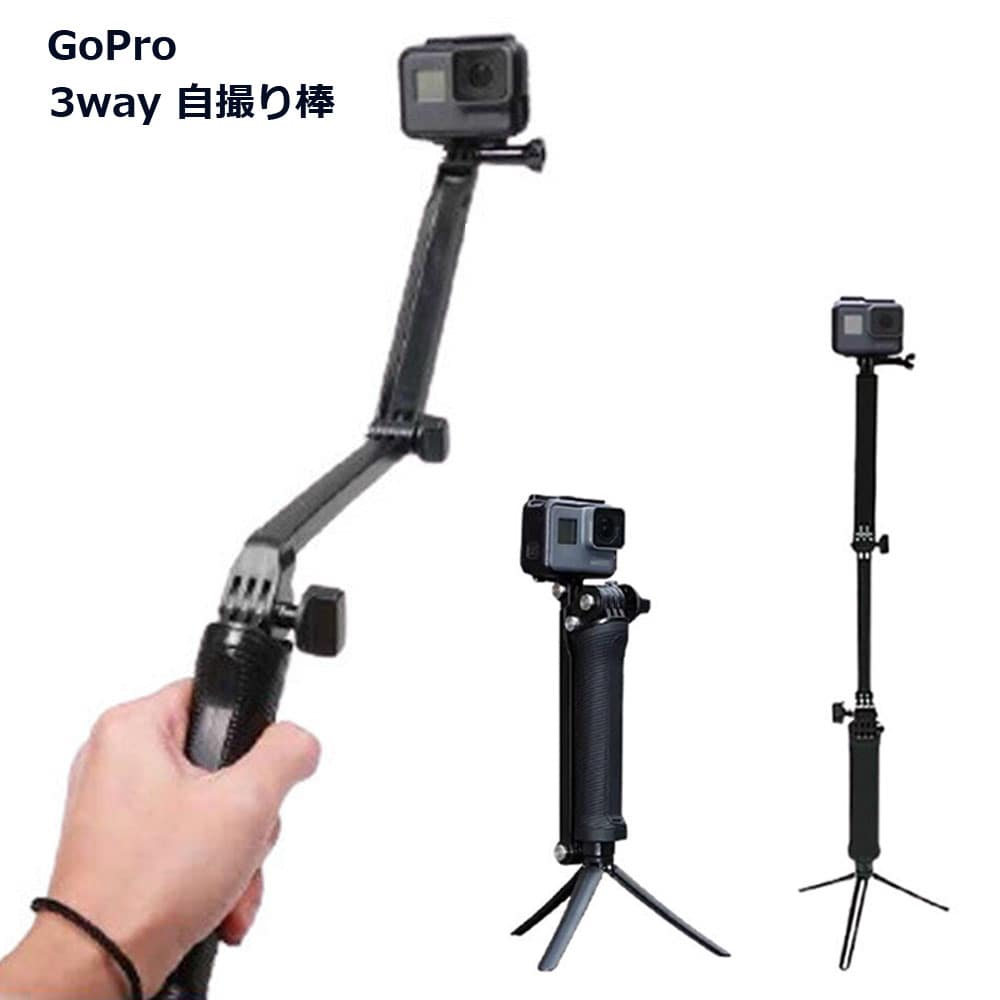 楽天市場】＜正規品＞GoPro EL Grande エルグランデ AGXTS001