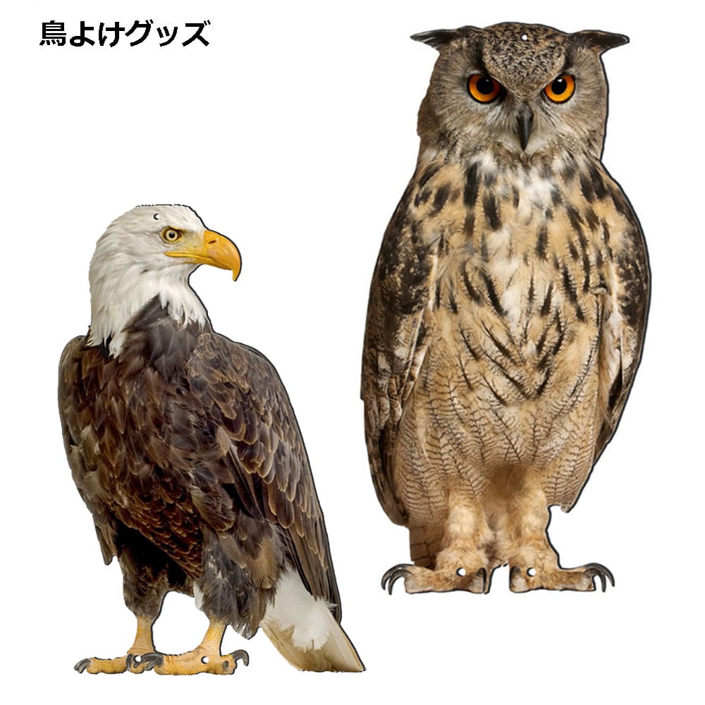 楽天市場】鳥よけ グッズ フクロウ 鷹 ふくろう とりよけ