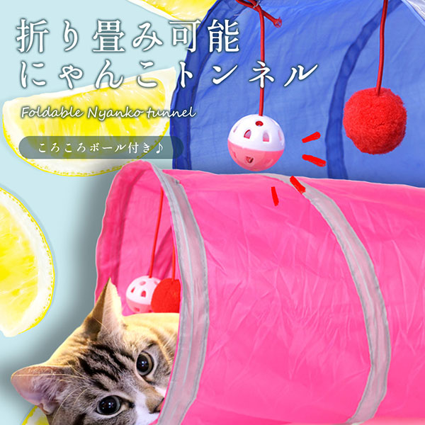 楽天市場 猫 トンネル コロコロ ボール おもちゃ 猫遊び場 猫 トンネル 折りたたみ可能 運動 猫 トンネル コロコロ 可愛い 愛猫 ロールショップ