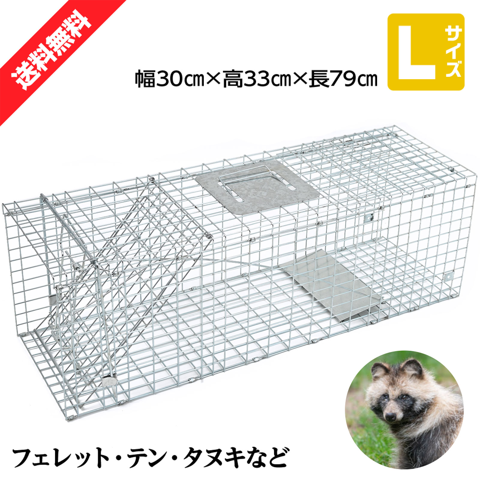 【楽天市場】動物捕獲器 動物捕獲檻 猫 アニマルトラップ Mサイズ 66cm×26cm×23cmトラップ 箱罠 イタチ 駆除 捕獲 踏板式 捕獲機  動物 小動物 子猫 罠 鼠 保護 庭 畑 餌 アニマルキャッチャー : Lost-G