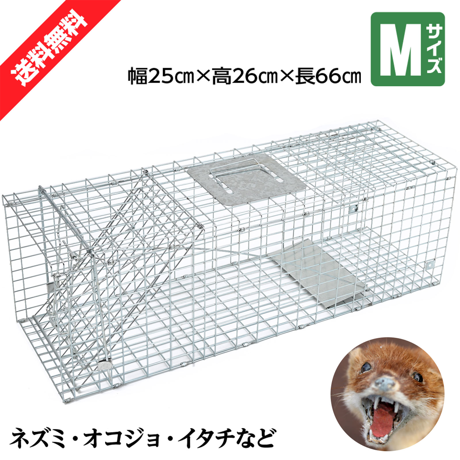 楽天市場】【クーポンで最大2000円OFF】 動物捕獲器 動物捕獲檻