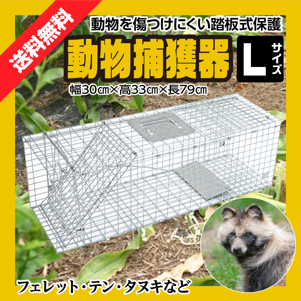 市場 捕獲器 猫 イタチ 駆除 Lサイズ 箱罠 アニマルトラップ 79cm×32cm×28cmトラップ 捕獲