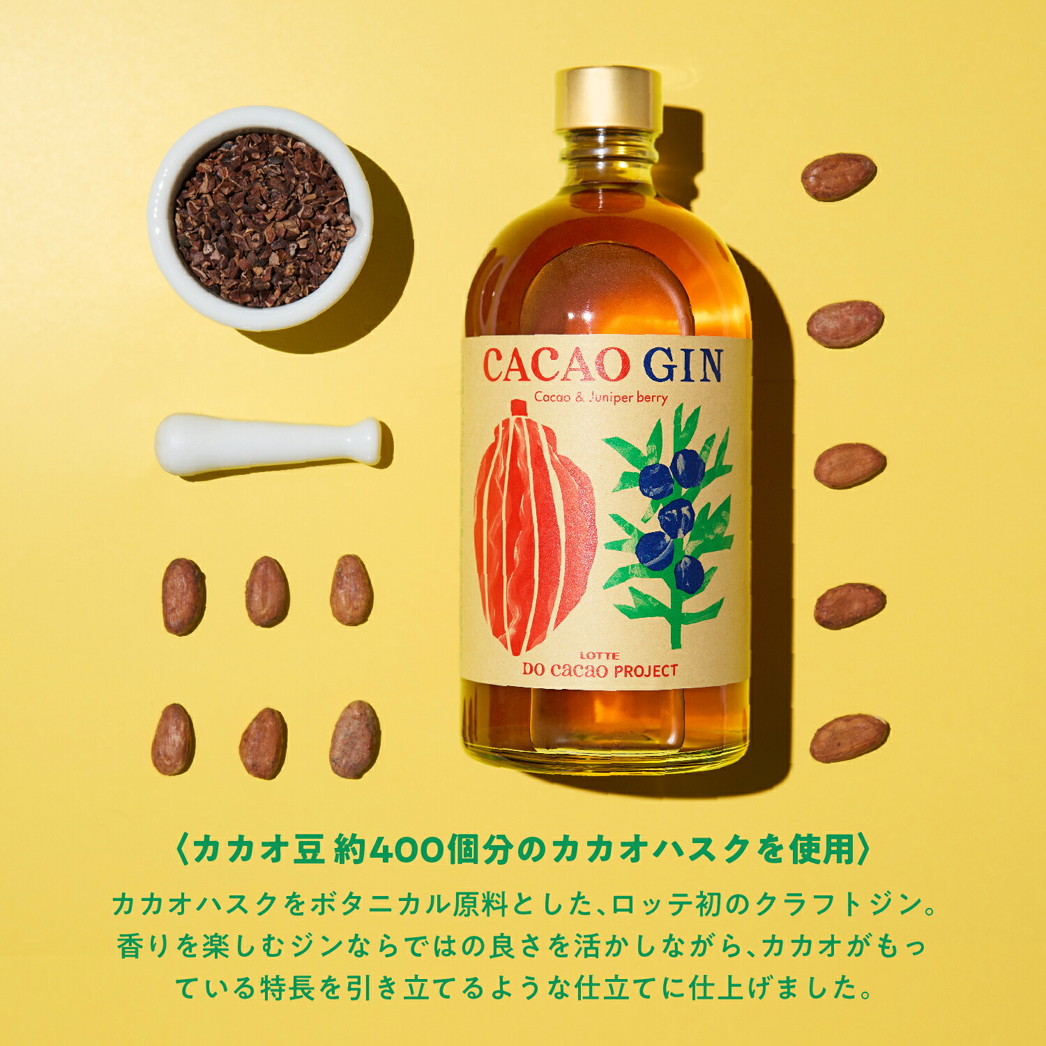 お得なクーポン発行中！】【ロッテ公式】CACAO GIN カカオジン 43度