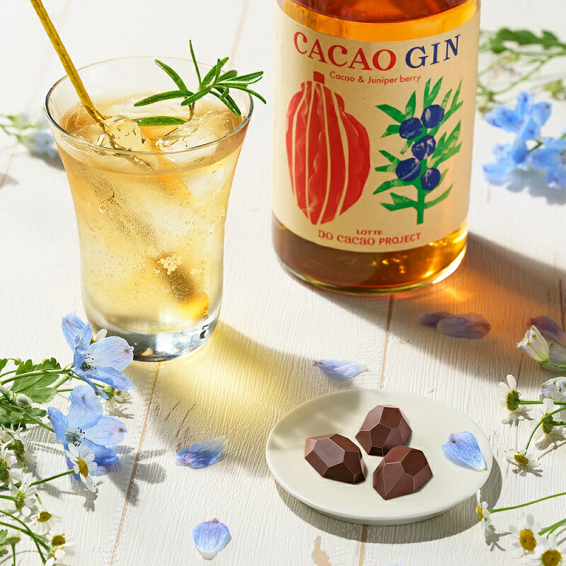 お得なクーポン発行中！】【ロッテ公式】CACAO GIN カカオジン 43度