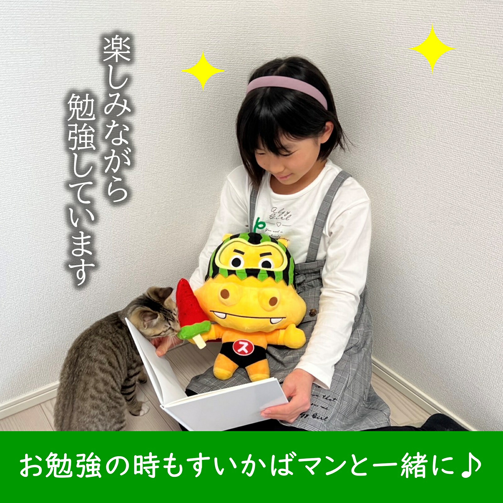 ポイント5倍！9/4 20時〜】【ロッテ公式】すいかばマン