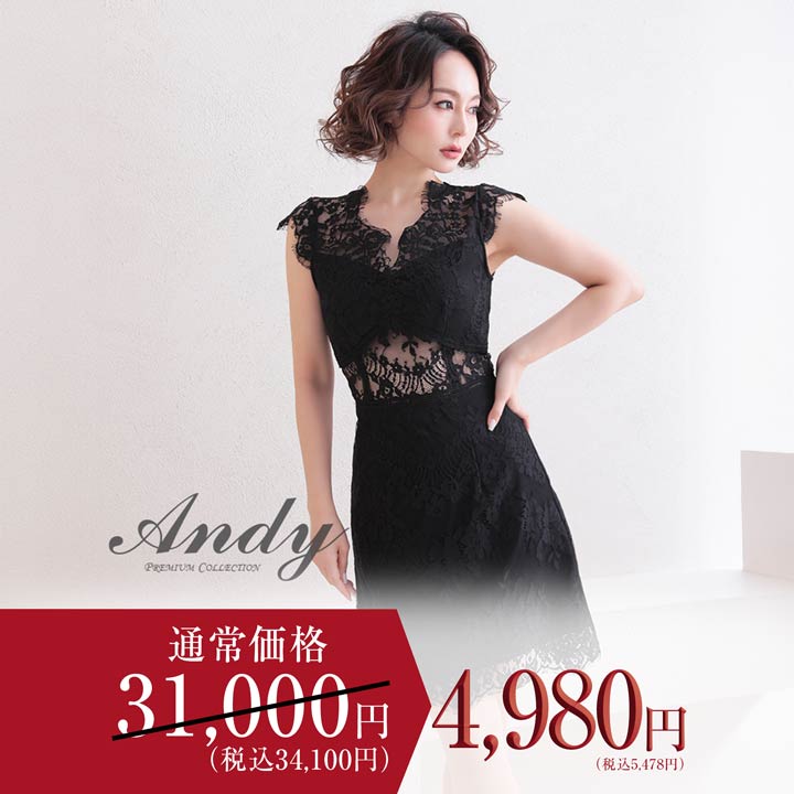 新品未使用タグ付きAndyノースリーブフラワーレースウエストシアーAラインドレス 楽天市場】【SALE ￥31000→￥4980】[Andy]ノースリーブフラワー