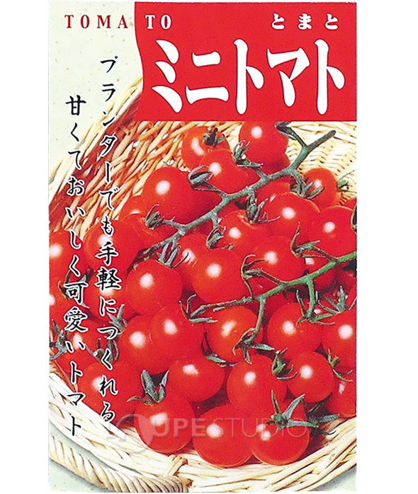 楽天市場 野菜の種 ミニトマト 種 たね 野菜 ミニトマトのたね ガーデニング 家庭菜園 栽培 学習教材 理科 小学校 子供 学校教材 自由研究 ルーペスタジオ