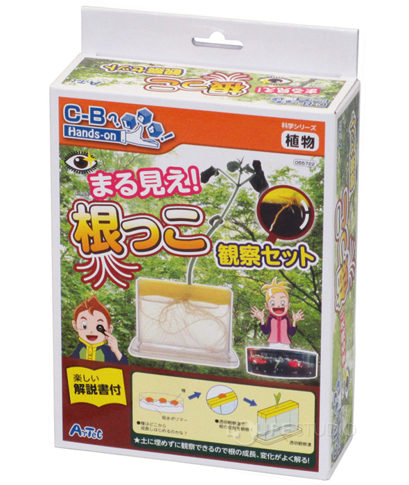 楽天市場 根っこ観察セット 観察 植物 根 理科 科学 小学生 学習 宿題 自由研究 ルーペスタジオ