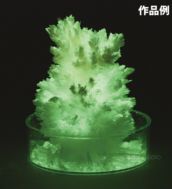 楽天市場 光る 結晶作り 実験 グッズ 簡単 自由研究 小学生 中学生 科学 理科 セット 自由 研究 工作 キット おもしろ 実験 工作 キット クリスマスプレゼント ルーペスタジオ