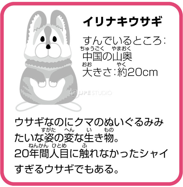 楽天市場 ゆらゆら 変ないきものタワー おもちゃ バランス ゲーム キッズ 子供 幼稚園 保育園 知育玩具 学習 生物 室内 ルーペスタジオ