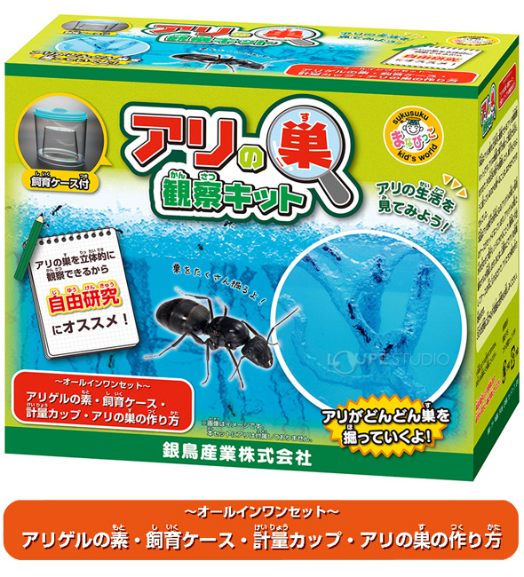 楽天市場 夏休み アリの巣観察キット 自由研究 小学生 キット あり 蟻 飼育セット 実験セット 観察 工作 男の子 昆虫 飼育観察セット ルーペスタジオ