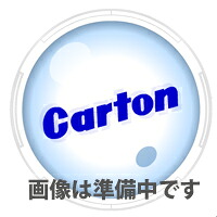 カートン 接眼レンズ アイピース DSW10x [φ30mm] 実体顕微鏡DSZ、NSW用 顕微鏡 接眼レンズ 観察 検査 拡大 1組2個｜ルーペスタジオ