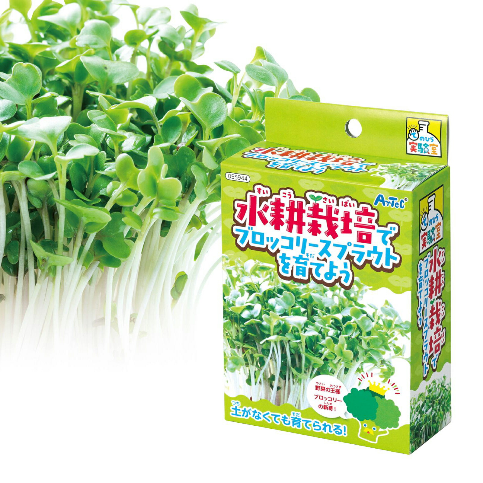 楽天市場 カラフルイボイボ ボール 知育玩具 おもちゃ 子供 ボール遊び 室内 スポーツ 小学生 幼稚園 保育園 ルーペスタジオ