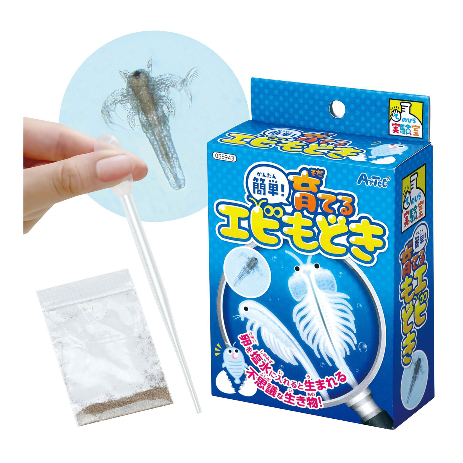 楽天市場】簡単！ 育てるエビモドキ（生物 自然観察 科学シリーズ