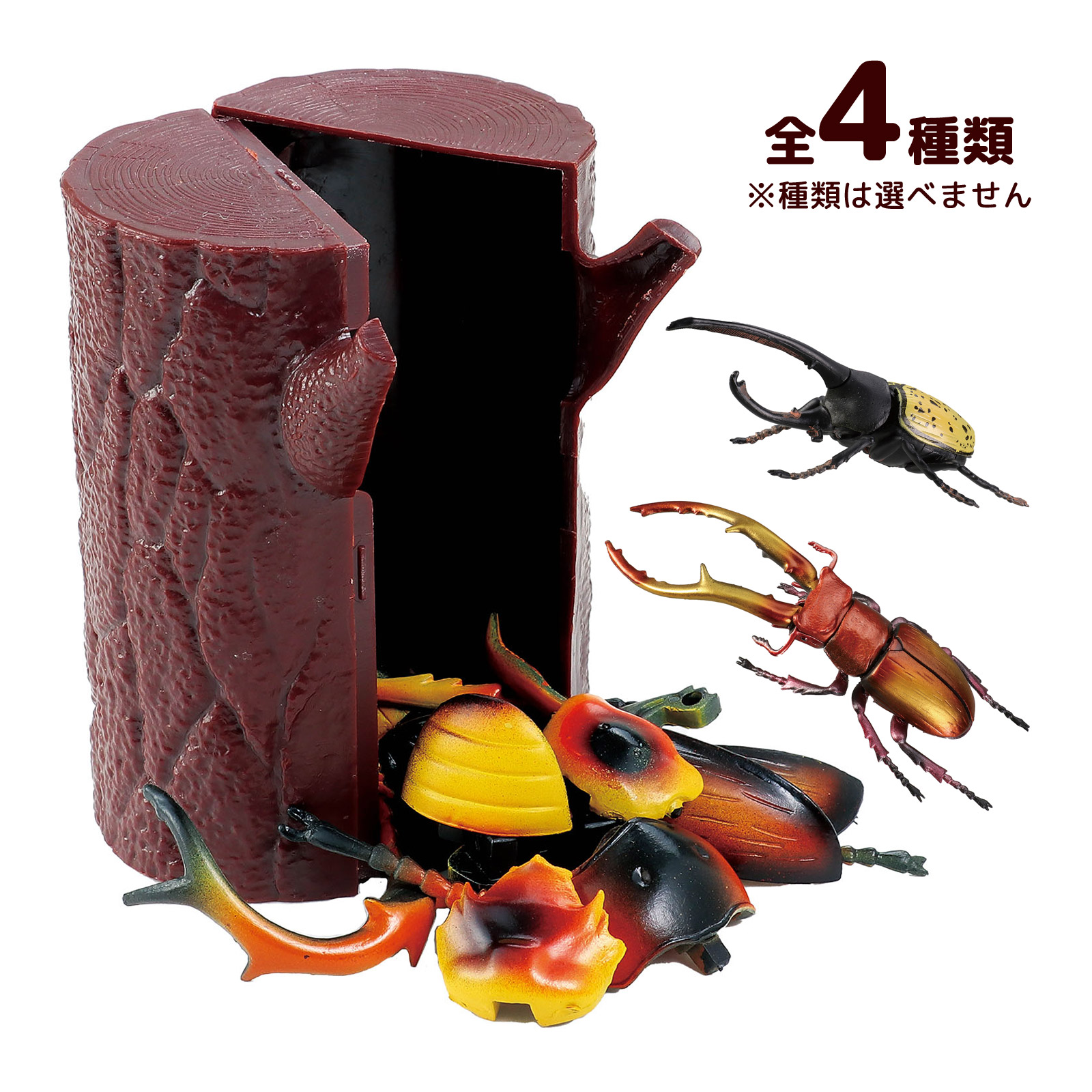 虫キャラクター ピンズ 3体セット 楽天市場】立体パズル 3D パズル DE フィギュア 昆虫 インセクト