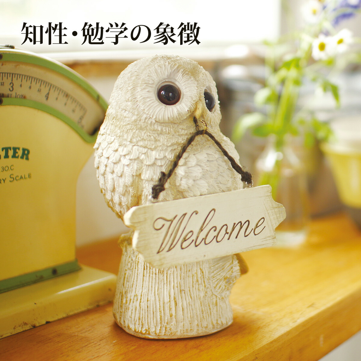 モダンかわいい9 ksm-0111.jpg