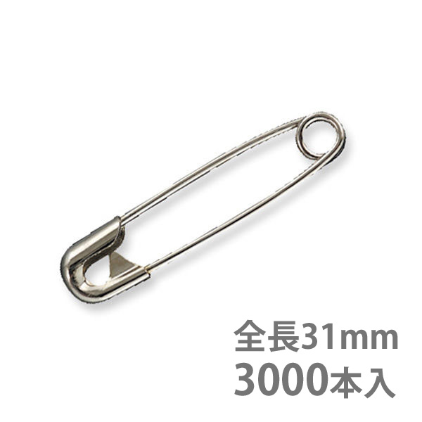 皆既月食を見よう