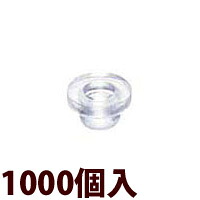皆既月食を見よう