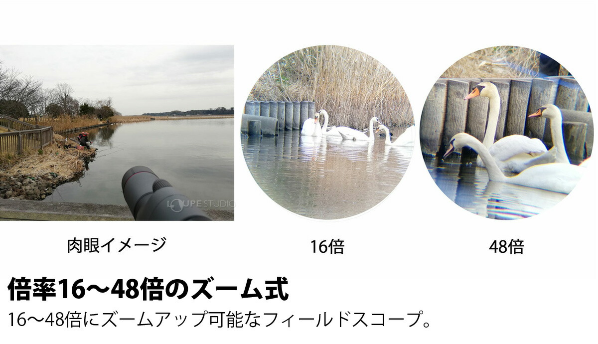 フィールドスコープ スマホ プロフィールドガイア 16 48x65 16 48倍 65mm 直視型 Gaia フィールドスコープ スマホ プロフィールドガイア 16 48x65 16 48倍 65mm 直視型 Gaia