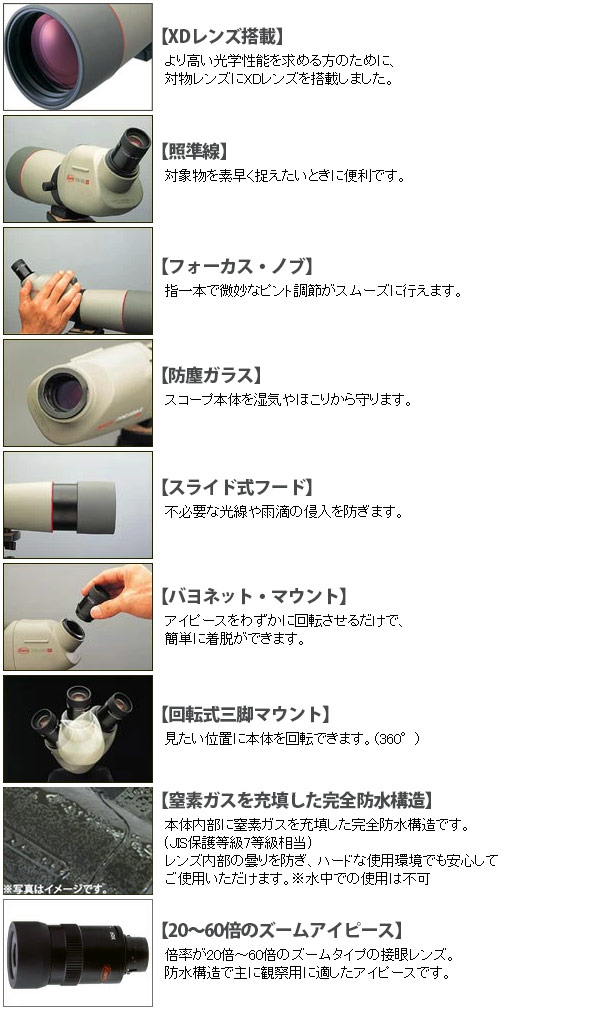 市場 フィールドスコープ TSN-664M TE-9Z プロミナー KOWA 直視型