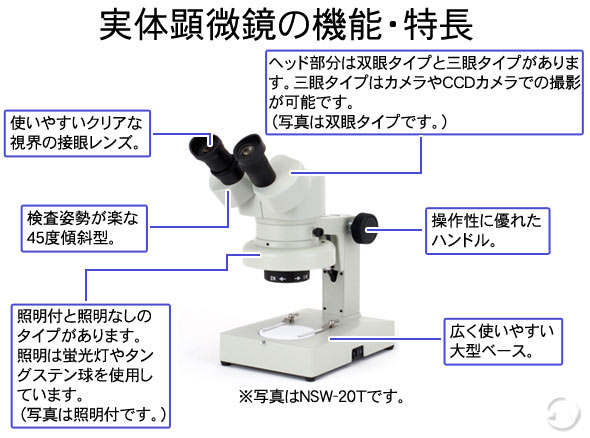 はこぽす対応商品 変倍式実体顕微鏡 Nsw 30p 10倍30倍 カートン 顕微鏡 Dabiastore Com