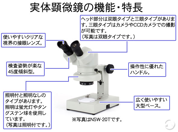 固定倍率実体顕微鏡 倍 オーバーグラス プラネタリウム 観察 顕微鏡 Nsw 2sb カートン 顕微鏡 検査 地球儀 拡大 Nsw 2sb ルーペスタジオ 検査 拡大 観察 固定倍率実体顕微鏡 Nsw 2sb