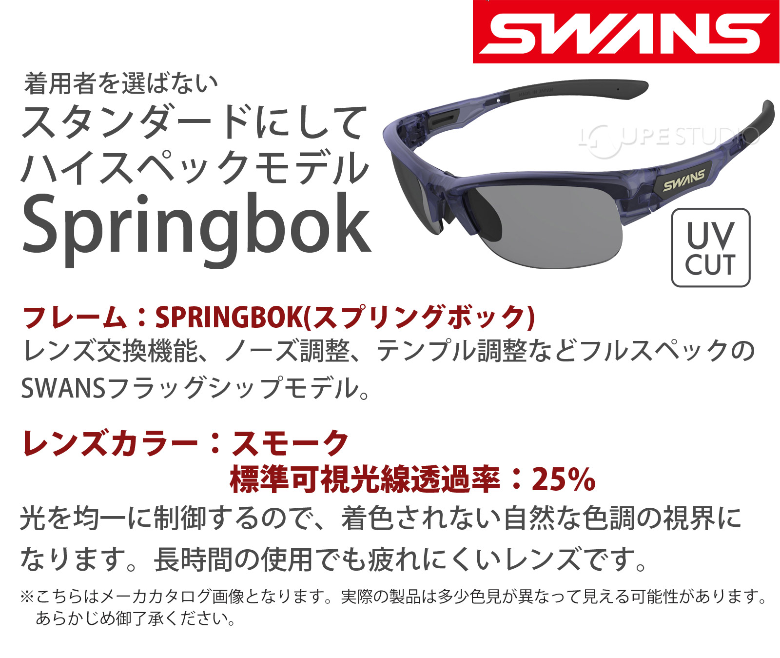 メンズ 拡大鏡 ゴルフ スモークレンズ スポーツ サングラス ドライブ レディース 顕微鏡 Springbok 地球儀 フレーム L Spb 0001 Smk カラーレンズ おすすめ 人気 Swans スワンズ ルーペスタジオ