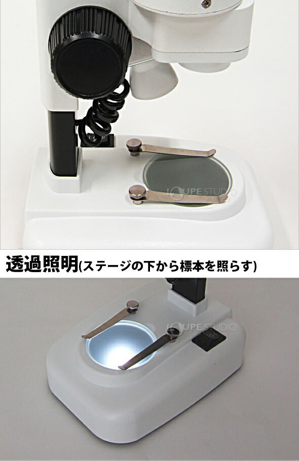 楽天市場 顕微鏡 双眼 スマホ撮影セット 小学生 倍 40倍 2way 実体顕微鏡 顕微鏡セット 子供 学習 自由研究 ルーペスタジオ