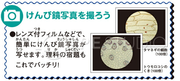 楽天市場 顕微鏡セット 子供 900倍 450倍 100倍 日本製 スマホ撮影セット小学生 学習 自由研究 プロジェクター機能付き マイクロスコープ 生物顕微鏡 簡単 ルーペスタジオ