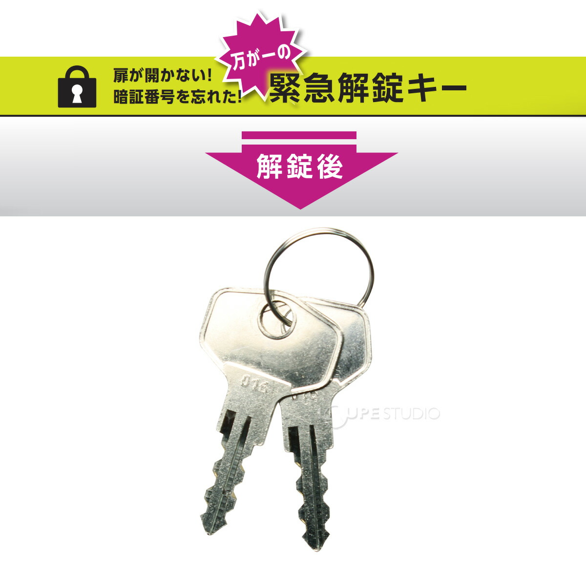 お気に入り ソニック キーボックス 24個吊 KS-4769 trumbullcampbell.com