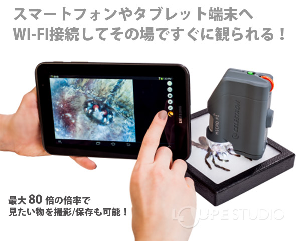 楽天市場 顕微鏡 スマホ セレストロンmicro Fi Wifi内蔵 ハンディタイプ顕微鏡 デジタル顕微鏡 Wifi スマートフォン Iphone タブレット Ipad Android ルーペスタジオ