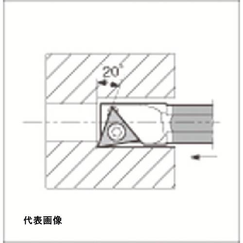 皆既月食を見よう