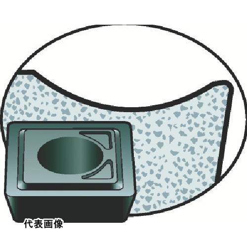 皆既月食を見よう
