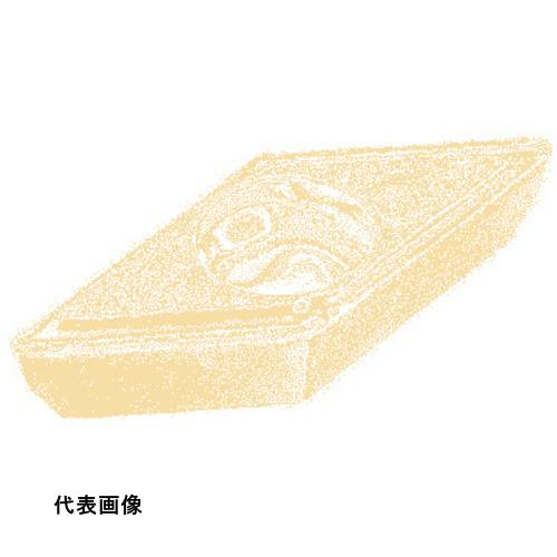 皆既月食を見よう
